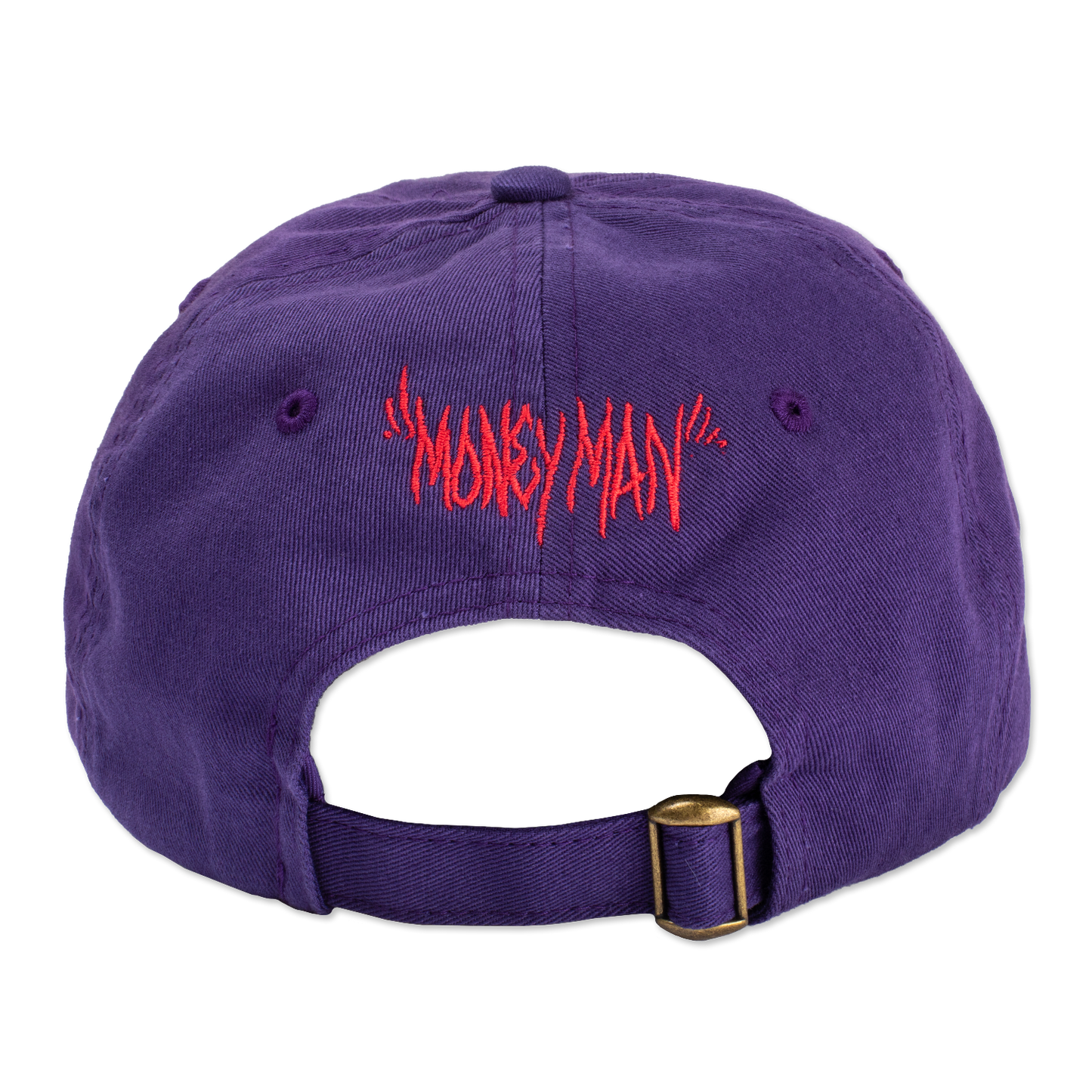 Snake Purple Hat