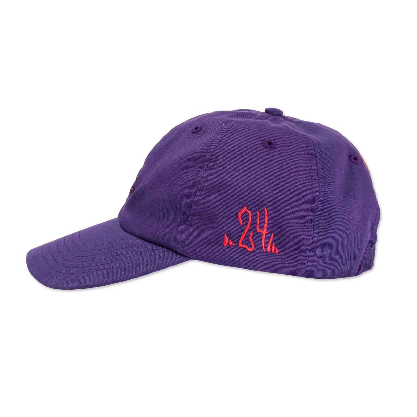 Snake Purple Hat